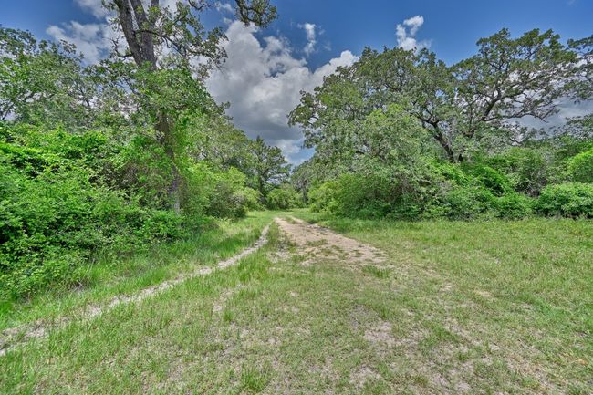 View of yard with a view of trees | Image 33