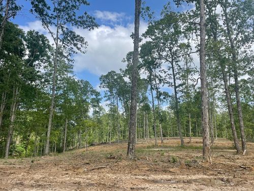 340 Shelton Cemetery Ln, Cumberland Furnace, TN, 37051-1405 | Card Image