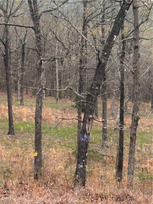 6563 Madison 2340, Huntsville, AR, 72740-6550 | Card Image