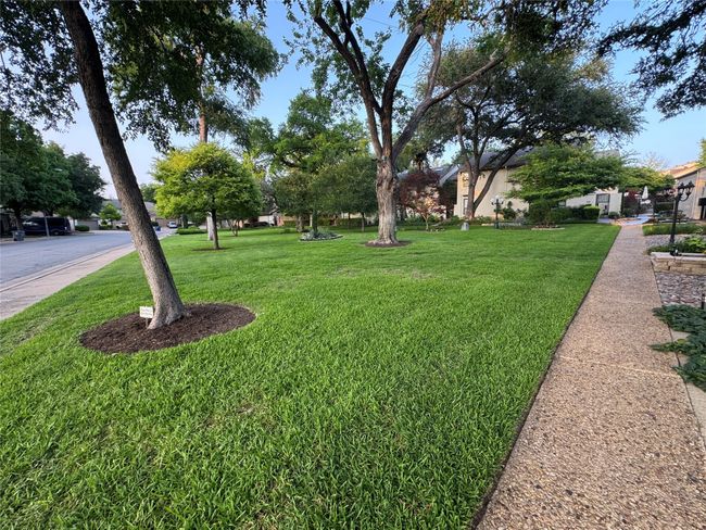 View of green lawn play area | Image 30