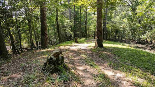 000 Highway 96 Byp, Home with 0 bedrooms, 0 bathrooms and null parking in Silsbee TX | Image 21