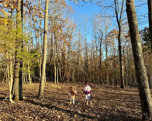 260 Lineport Rd, Bumpus Mills, TN, 37028-6141 | Card Image