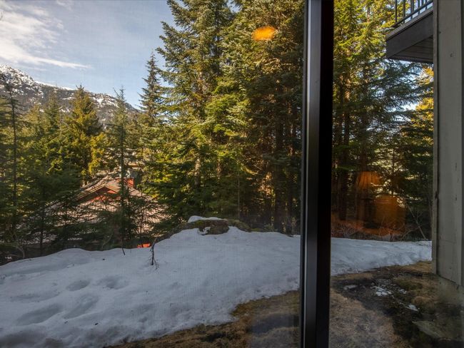View of yard | Image 27