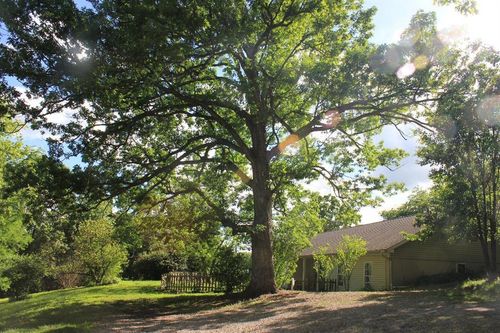 30 Highway E, Steelville, MO, 65565-4522 | Card Image
