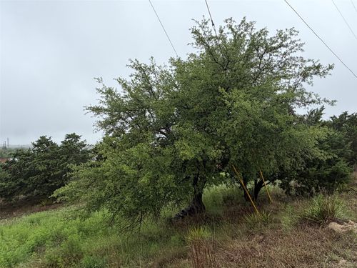 17408 Lake Wood Cir, Dripping Springs, TX, 78620-2659 | Card Image
