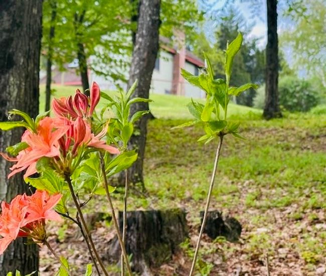 104 Juniper Ridge Rd, House other with 3 bedrooms, 4 bathrooms and null parking in Brattleboro VT | Image 47