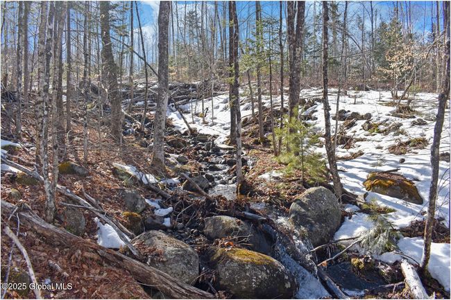 48 Durkin Rd, Home with 0 bedrooms, 0 bathrooms and null parking in North Creek NY | Image 37