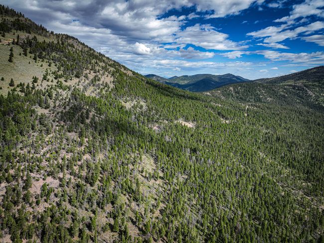 4540 Denton Gulch Rd, House other with 2 bedrooms, 1 bathrooms and null parking in Wolf Creek MT | Image 19