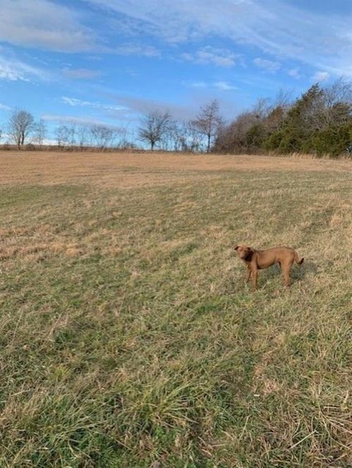 0 Wilbur Glass Rd, Edmonton, KY, 42129 | Card Image