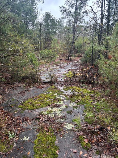 1206 Rockbridge Dr, Columbus, GA, 31904-1527 | Card Image