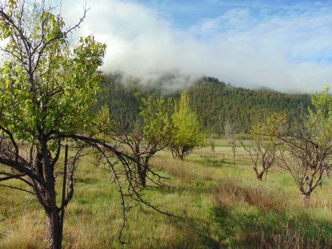 27235 Lazy Springs Rd, Home with 0 bedrooms, 0 bathrooms and null parking in Clinton MT | Image 25