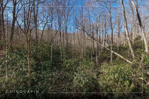 17 New Settlers Way, Glenville, NC, 28736-0390 | Card Image