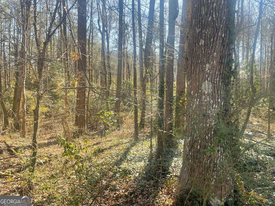 Land in Jonesboro 3