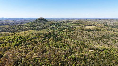 47A Knob Branch Rd, Melbourne, AR, 72556 | Card Image