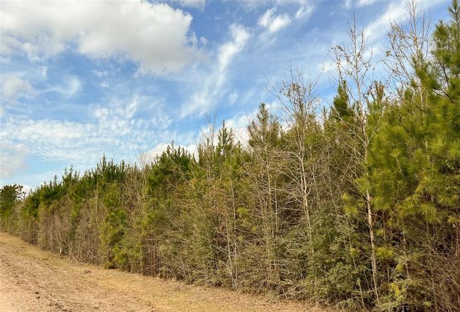 7 Fm 1746, Home with 0 bedrooms, 0 bathrooms and null parking in Spurger TX | Image 4