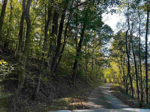 40 Roberts Road, Prospect, TN, 38477 | Card Image