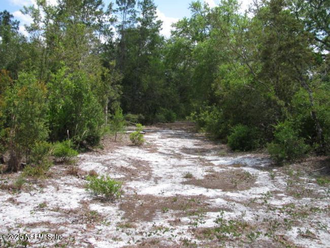 2155 State Road 40, Home with 0 bedrooms, 0 bathrooms and null parking in De Leon Springs FL | Image 39