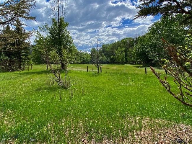 Meadow behind Grizzly Meadow Cottage and Valley View Cabin | Image 35
