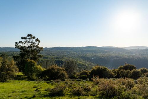 18678 Kentucky Ravine Road, Nevada City, CA, 95959 | Card Image