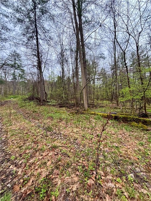 2093 Scott Rd, Lindley, NY, 14858-9661 | Card Image