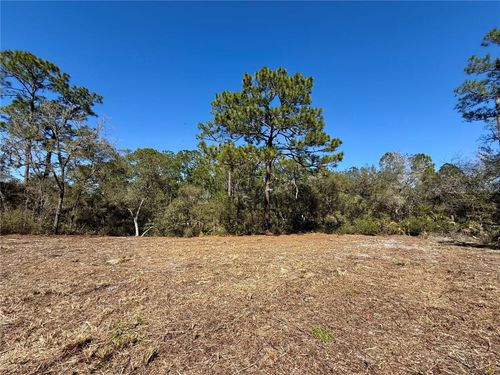 LOT 11 Poinciana St, EUSTIS, FL, 32736 | Card Image