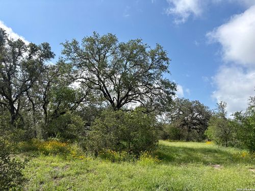 165 Sanctuary Ln, Von Ormy, TX, 78073 | Card Image