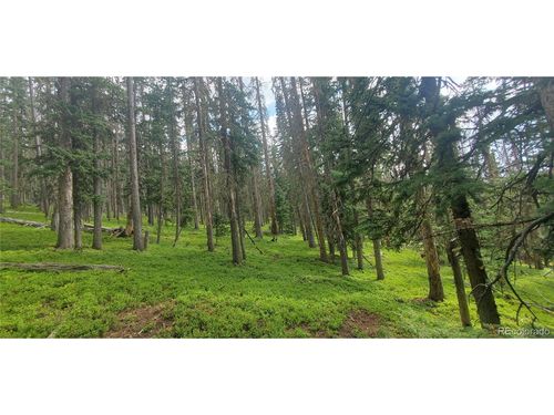 6542 Schlueter Rd, Fort Garland, CO, 81133 | Card Image