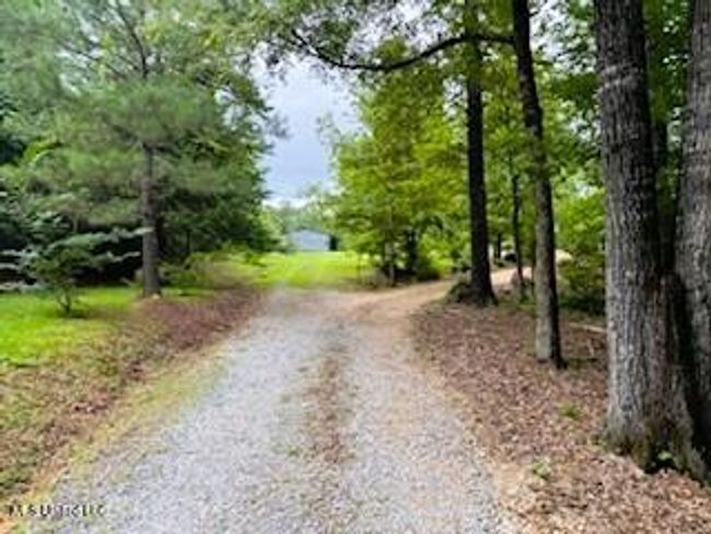 grounds 5 | Image 56