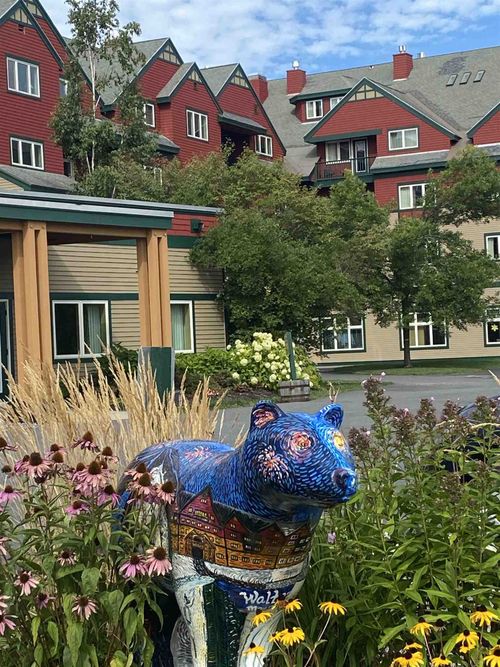 354 Qtr. 2, 89 Grand Summit Way, Dover, VT, 05356 | Card Image