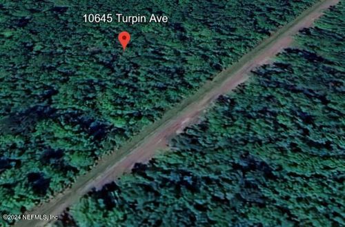 10645 Turpin Ave, HASTINGS, FL, 32145-8903 | Card Image