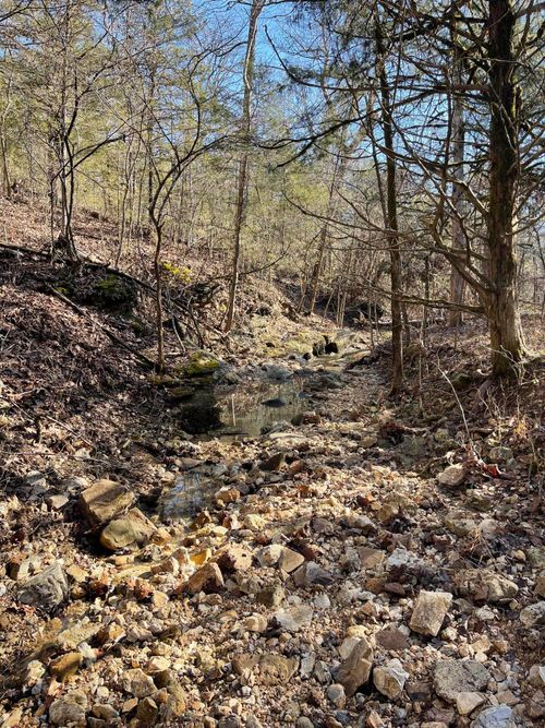 section-a-and-b-000 Us Hwy 160, Gainesville, MO, 65655 | Card Image