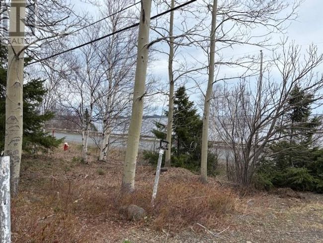 159 Main St, House other with 4 bedrooms, 1 bathrooms and null parking in Embree NL | Image 25