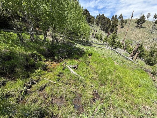 31 High Ore Rd, Home with 0 bedrooms, 0 bathrooms and null parking in Boulder MT | Image 25