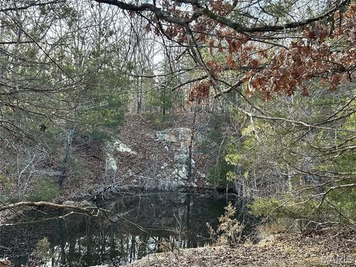 11 Danz Forest Dr, Rosebud, MO, 63091 | Card Image