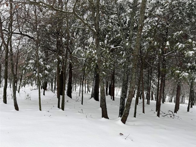 Photo of property from last Winter. | Image 24