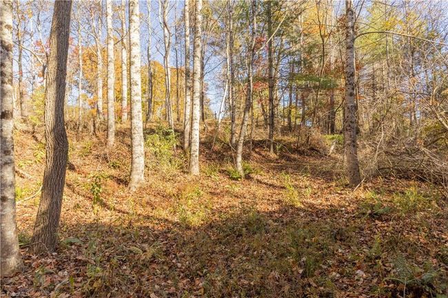 0 Laurel Creek Rd Ne, Home with 0 bedrooms, 0 bathrooms and null parking in Pilot VA | Image 15