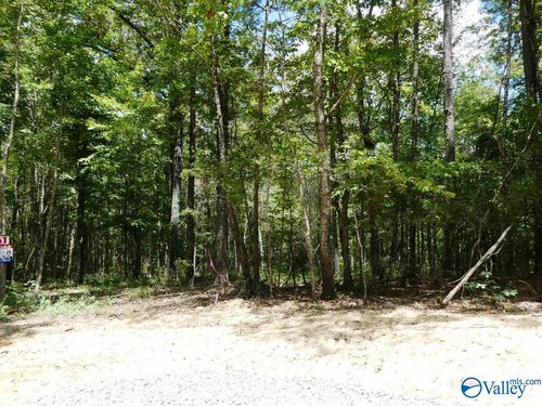 Lot 51 Harbor Loop, Jasper, AL, 35504-3552 | Card Image