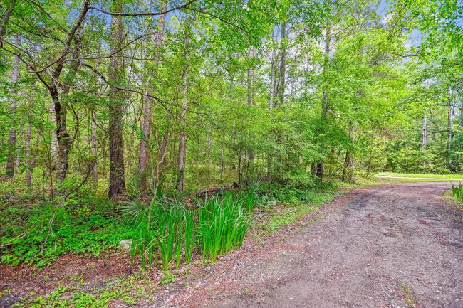 exterior-driveway-dsc0291 | Image 21