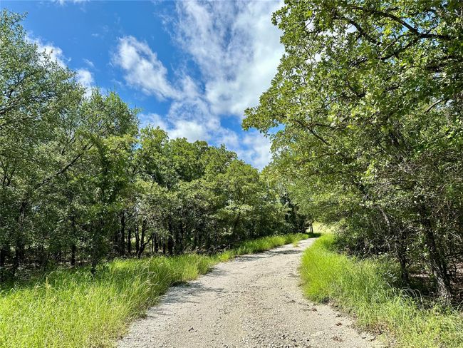View of road featuring a wooded view | Image 5
