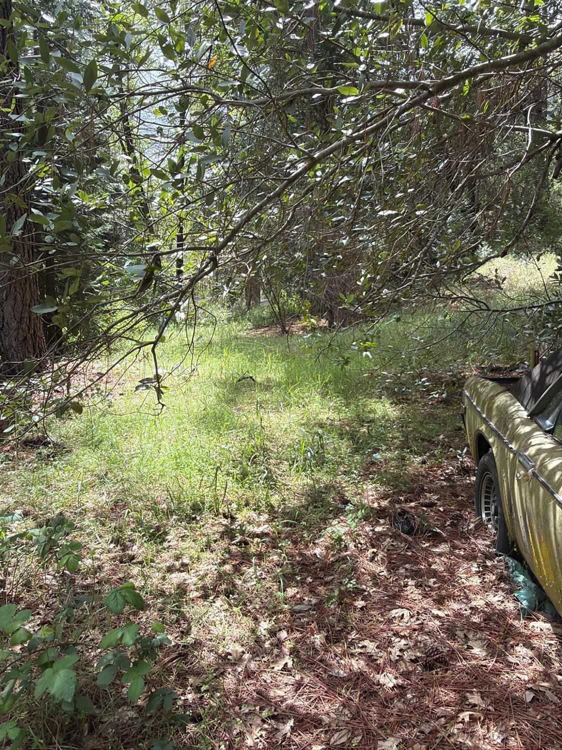 Land in Coulterville 3