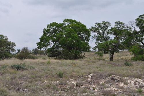 53-Lot 53 Oakwater Dr, Fredericksburg, TX, 78624 | Card Image