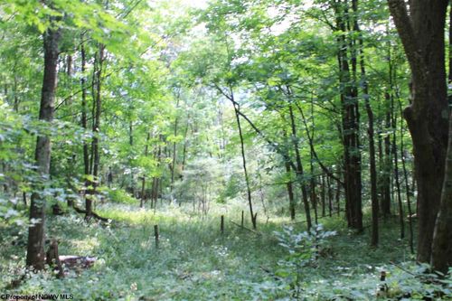 Lot 7 High Mountain Rd, Harman, WV, 26270 | Card Image