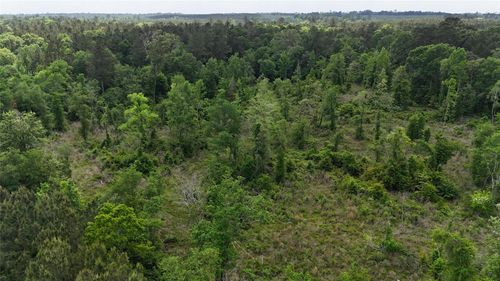 TBD J Hickman Road, Leggett, TX, 77350 | Card Image