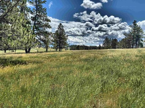 TBD Argyle Rd, Custer, SD, 57730 | Card Image
