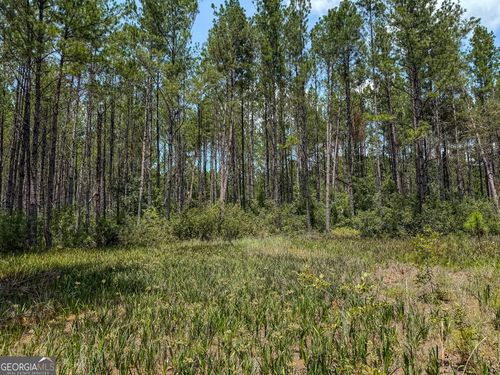 0 Grey Hawk Road, Millwood, GA, 31552 | Card Image