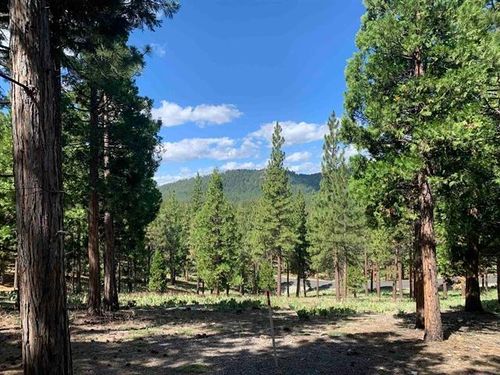 296 Big Cedar Ln, Portola, CA, 96122 | Card Image