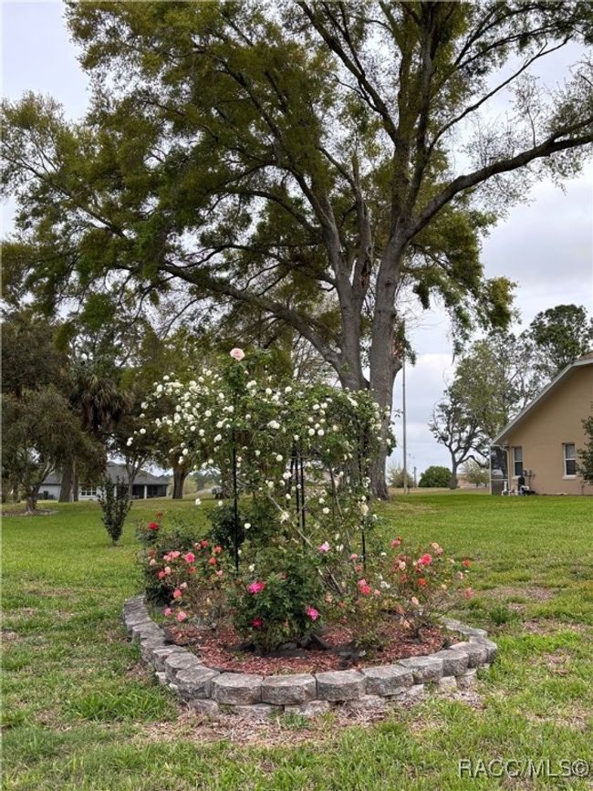 705 E Dakota Ct, House other with 3 bedrooms, 3 bathrooms and 3 parking in HERNANDO FL | Image 57