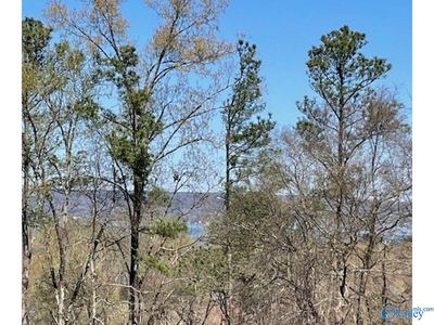 Lot 2 Hickory Hill Drive, Home with 0 bedrooms, 0 bathrooms and null parking in Guntersville AL | Image 3