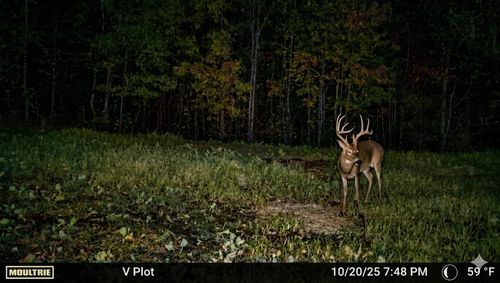 0 Elk Trl, Hurricane Mills, TN, 37078 | Card Image