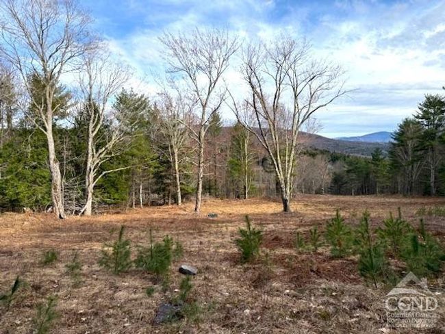 0 Campbell Rd, Home with 0 bedrooms, 0 bathrooms and null parking in Windham NY | Image 7